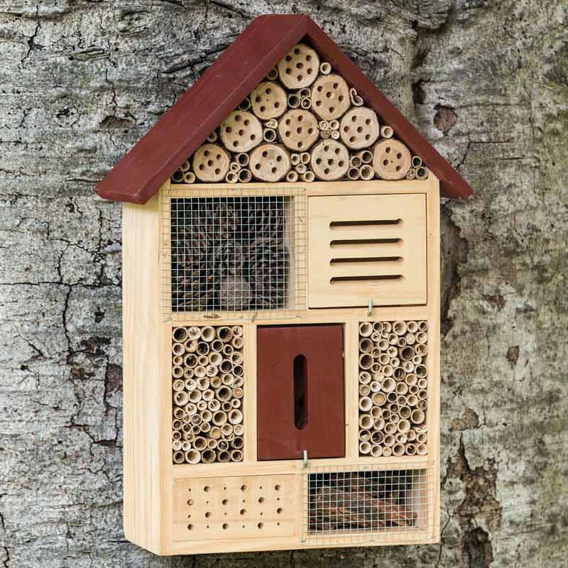 beneficial-bug-habitat-spring-hill-nurseries-spring-hill-nursery